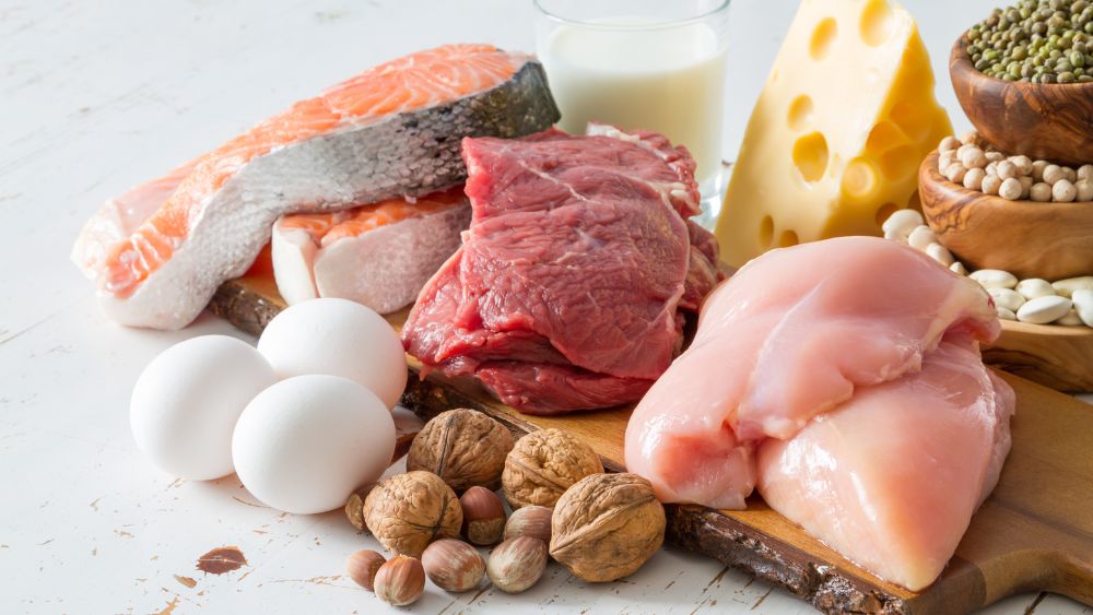 protein (3)_1